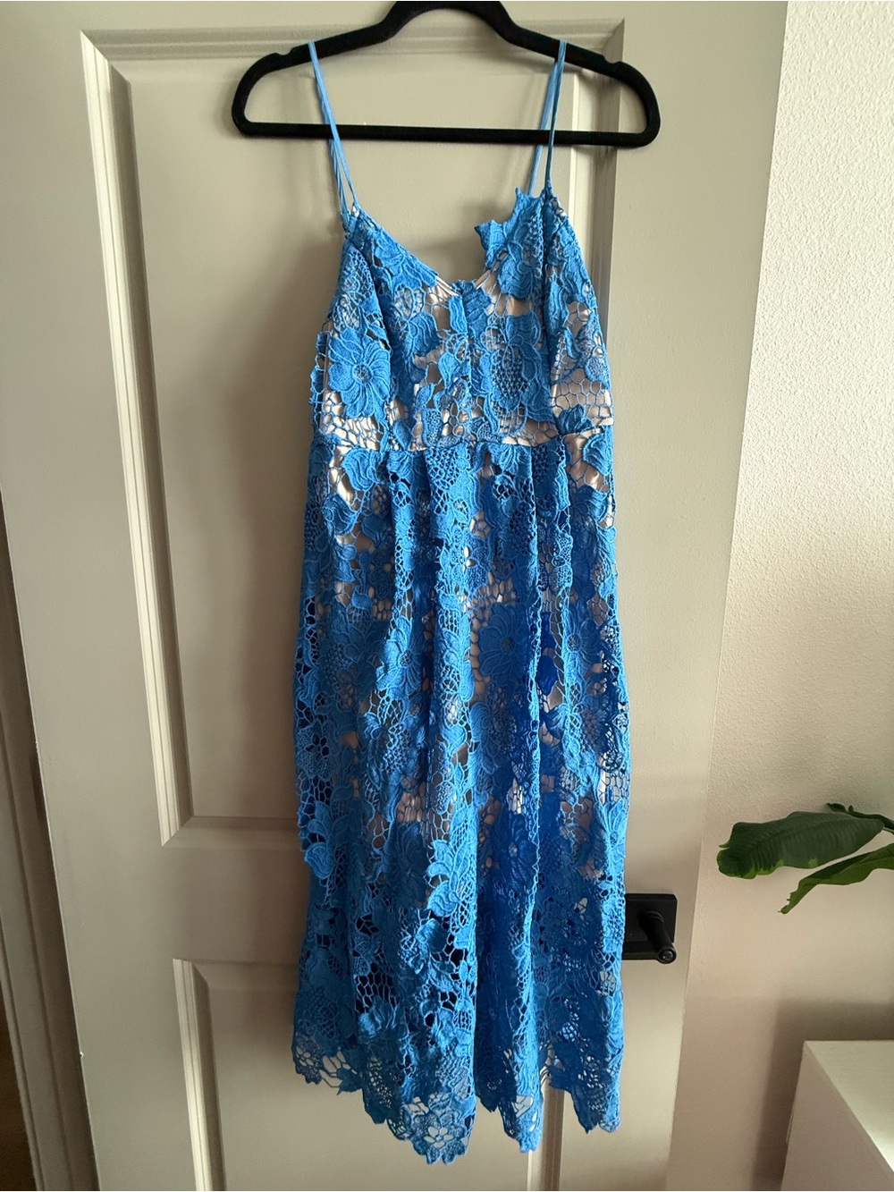 Umgee Boutique Dress